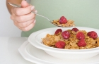 Alimentatia